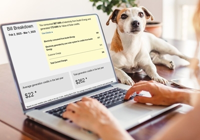Person working on laptop with dog
